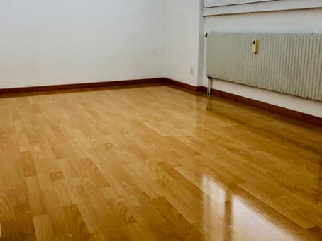 Reinigung mit Abgabe in Landschlacht, TG